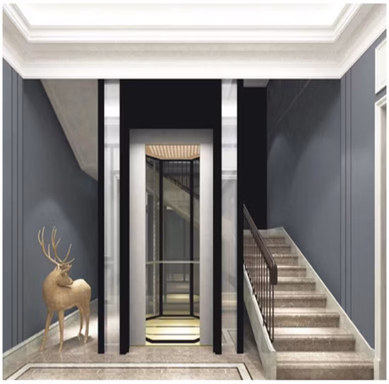 Hongmen Modern Passenger Elevator Home Lift with Machine Room