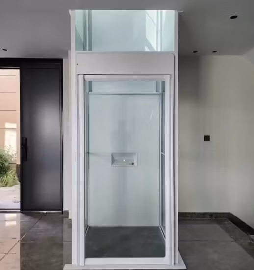 Home Elevator Lift Price/Residential Elevator /Villa Elevator for Private Home Elevator/Passenger Elevator