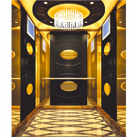 8 Person Machine Room House Residential Villa Passenger Home Elevator